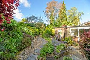 Garden- click for photo gallery